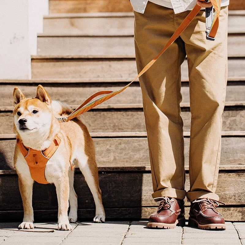 Men’s Rugged Leather Boat Shoes